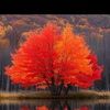 amygrant965
